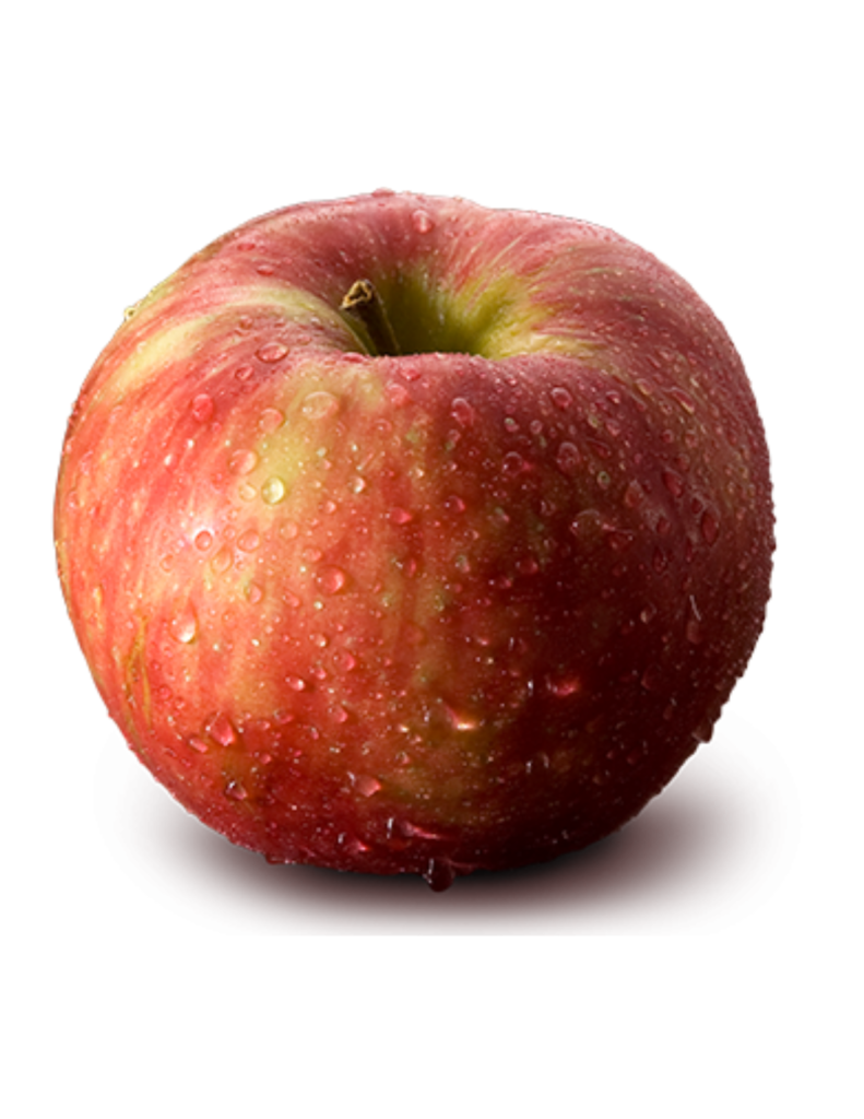 honey crisp apple